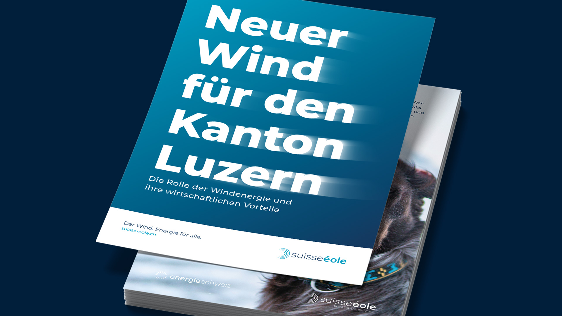Swisseole, Flyer